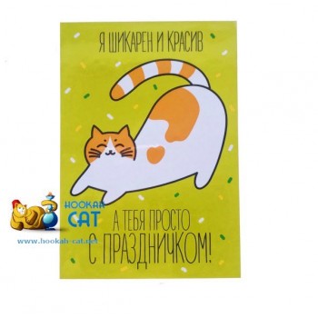 Открытка КОТКА - Я шикарен И Красив, А Тебя Просто С Праздником - купить в Москве с доставкой по России - фото 1